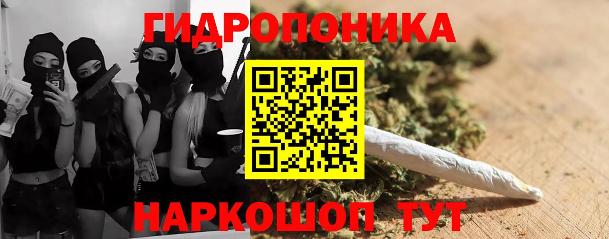 Заводоуковск  Конопля планчик  МАРИХУАНА VHQ  Шишки марихуана White Widow  Вход с VPN  Шишки марихуана OG Kush 